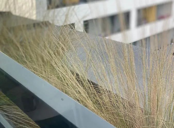 Pri Radnici شقة كَشّا